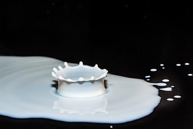 Remember The Milk